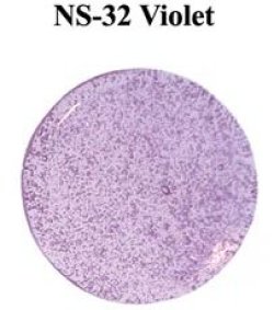 画像1: NS   Violet（ヴァイオレット)　36円/g　