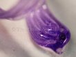 画像3: TAG   Purple Lollypop(パープルロリポップ)　32円/g　